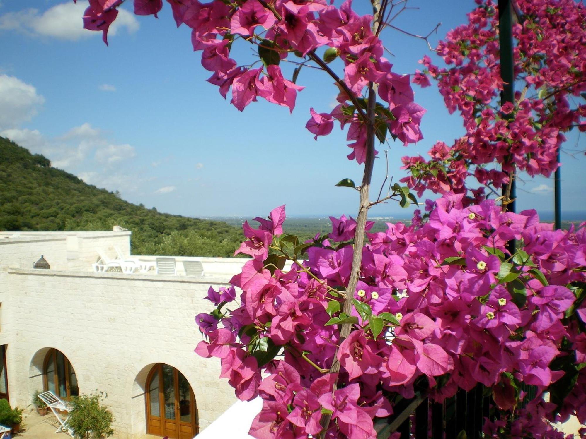 Masseria Morrone Ostuni Exterior foto
